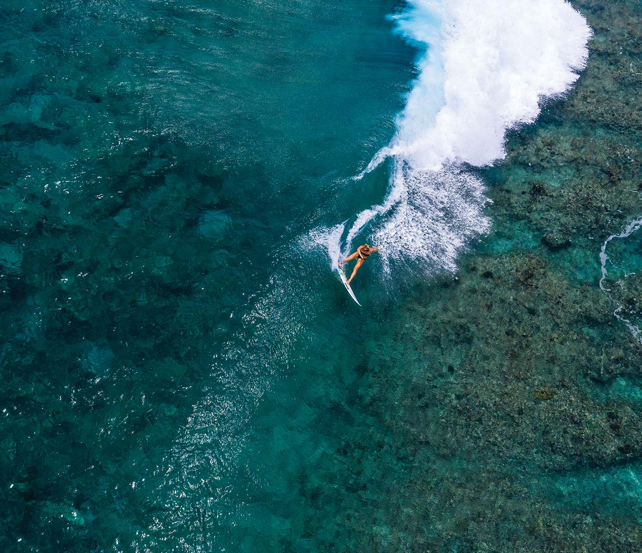 Coco Ho | North Shore, Oahu