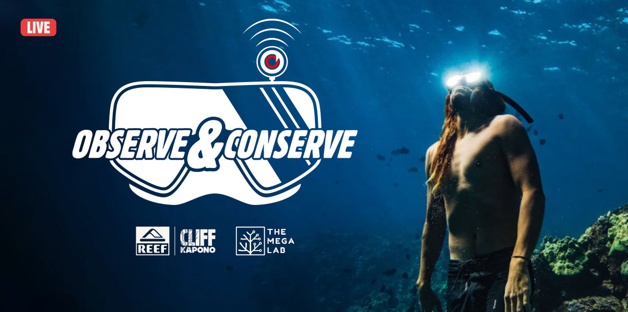 Observe & Conserve