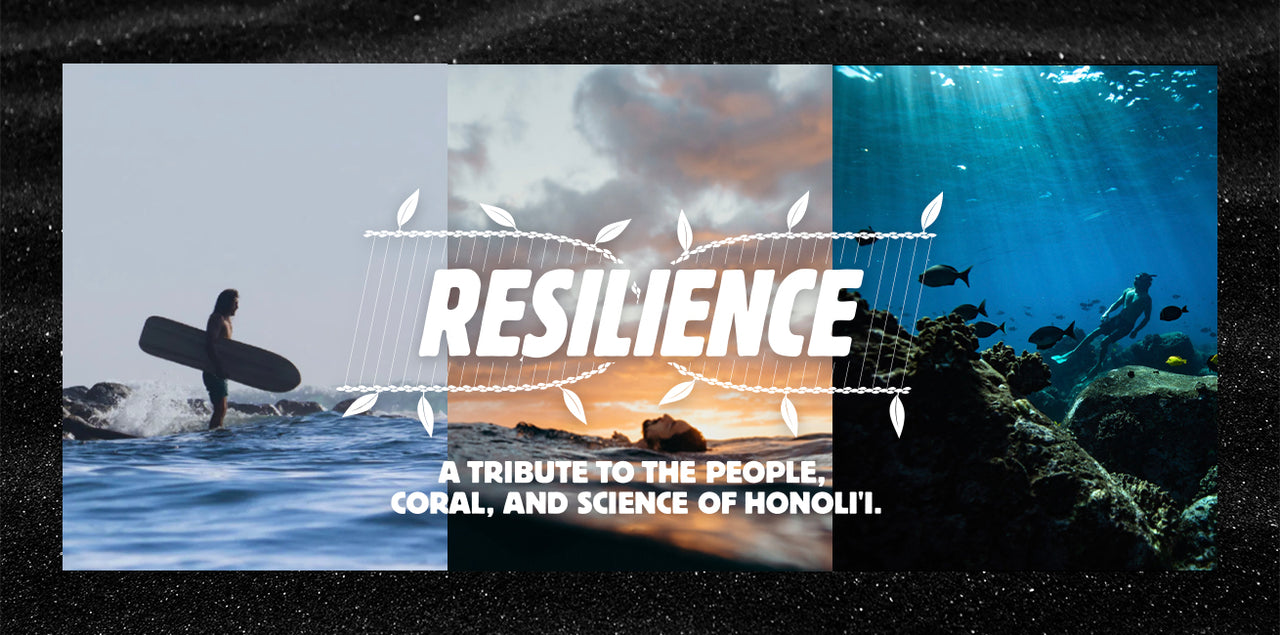 Resilience
