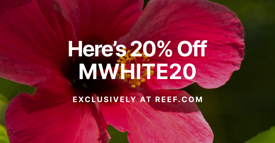 MERRICK X REEF