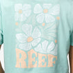 Koda 18" Crop T-Shirt - Eggshell - Down the Line 2 View