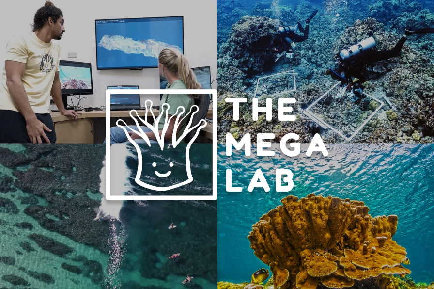 The Mega Lab logo on reef images