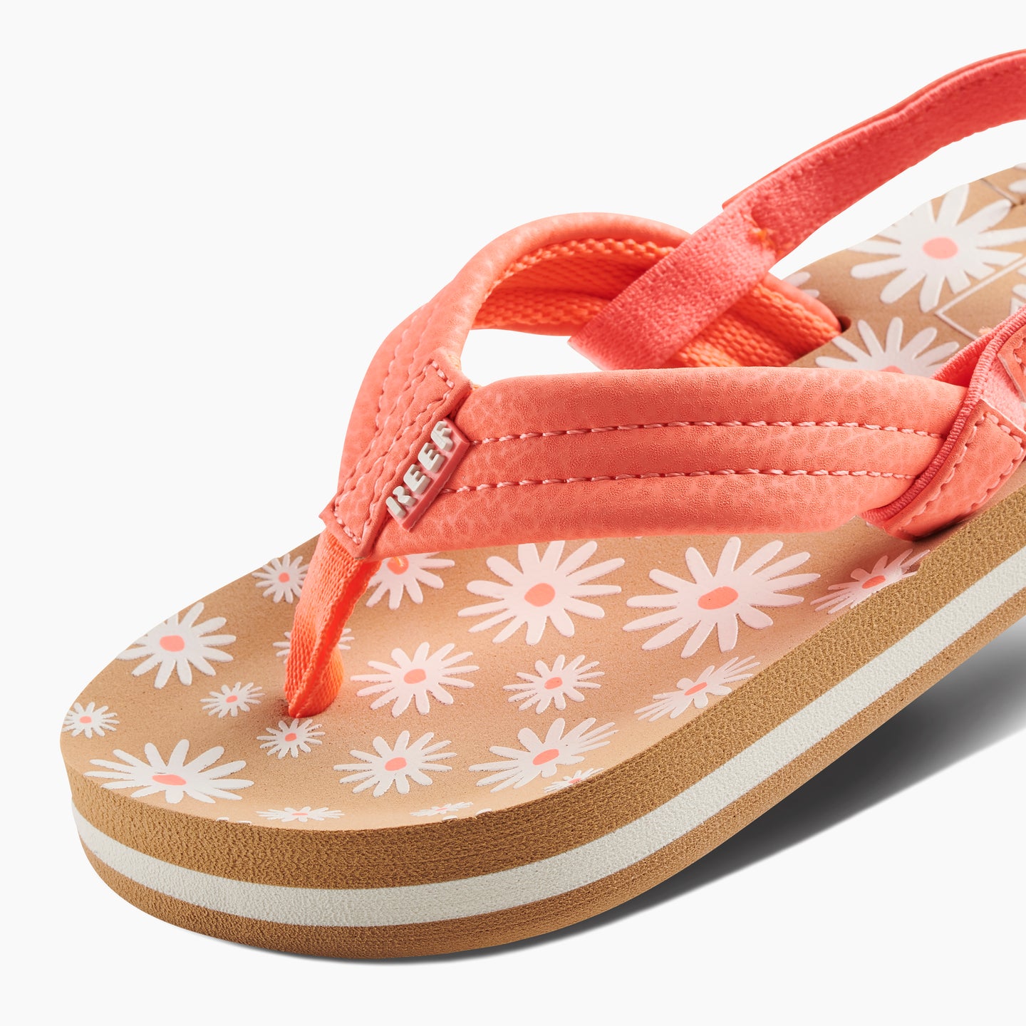 Little Ahi - Daisy - Down the Line 1 View
