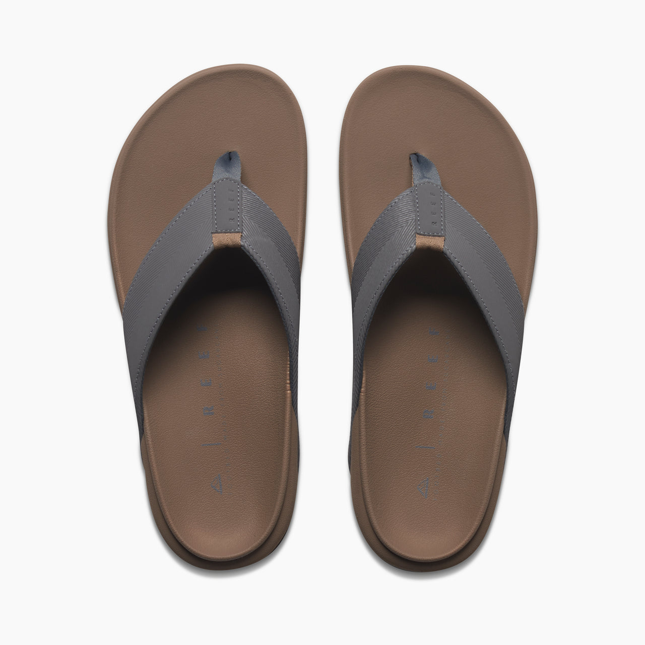 The Raglan - Fossil/Grey - Top View