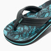 Kids Ahi - Aquifer Palm - Down the Line 1 View