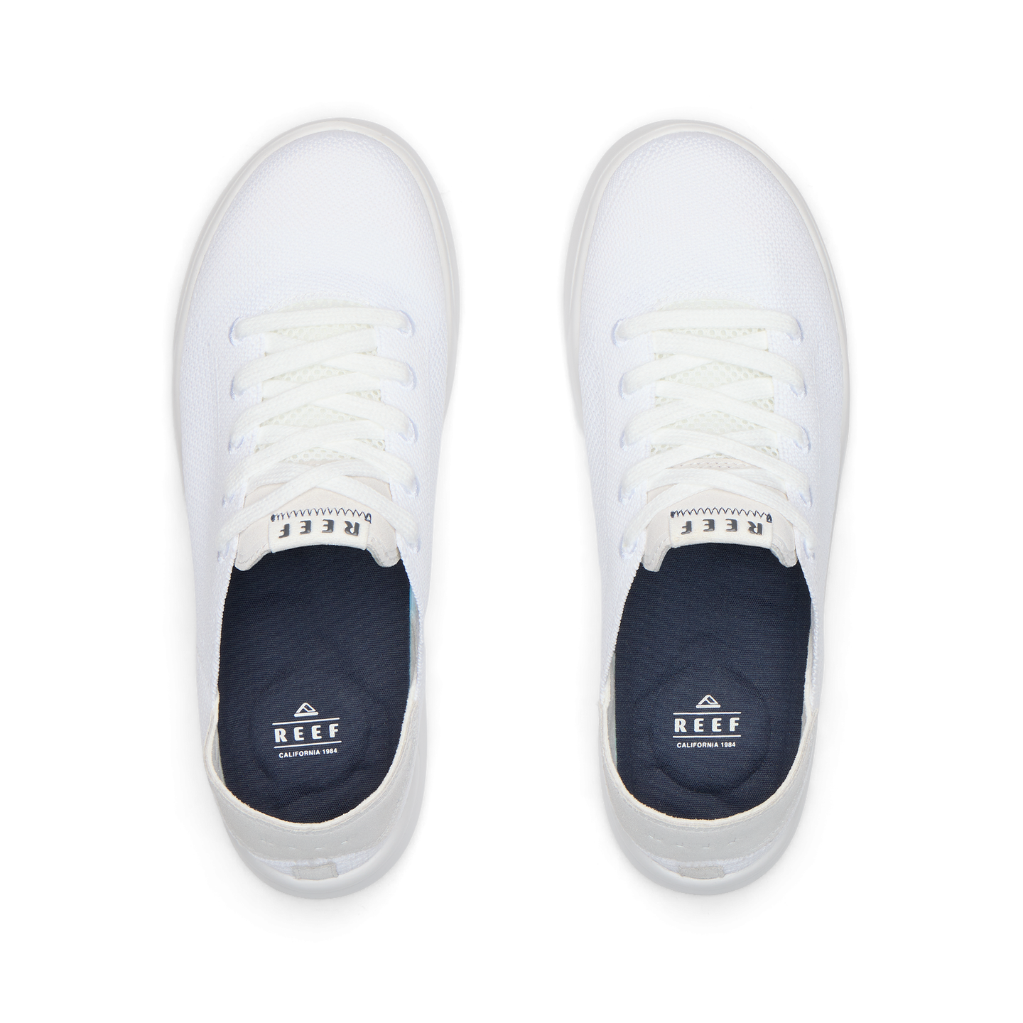 Swellsole Neptune - White - Top View
