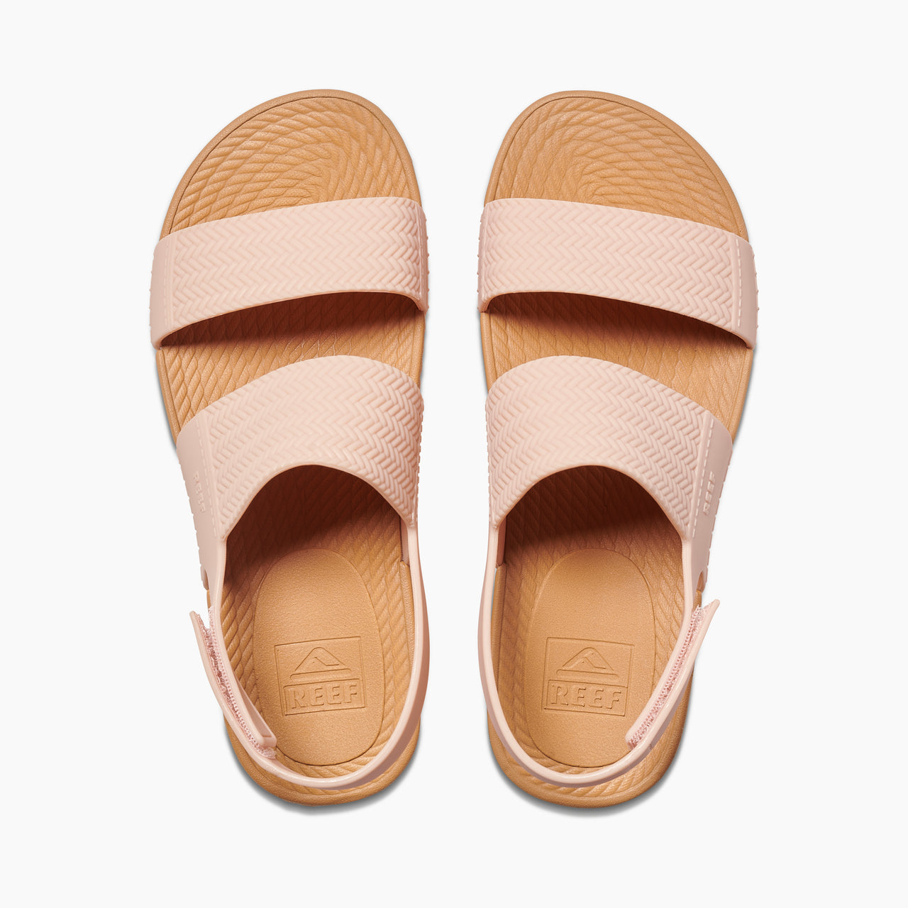 Reef Water Vista - Cameo Rose - Top View