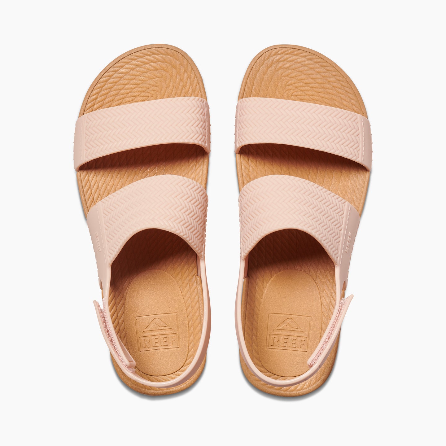 Reef Water Vista - Cameo Rose - Top View