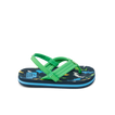 Little Ahi - Multi Shark - Right Side View