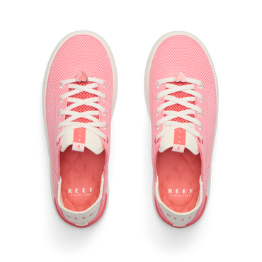 Reef Neptune - Pinky Swear - Top View