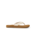 Baja Maria