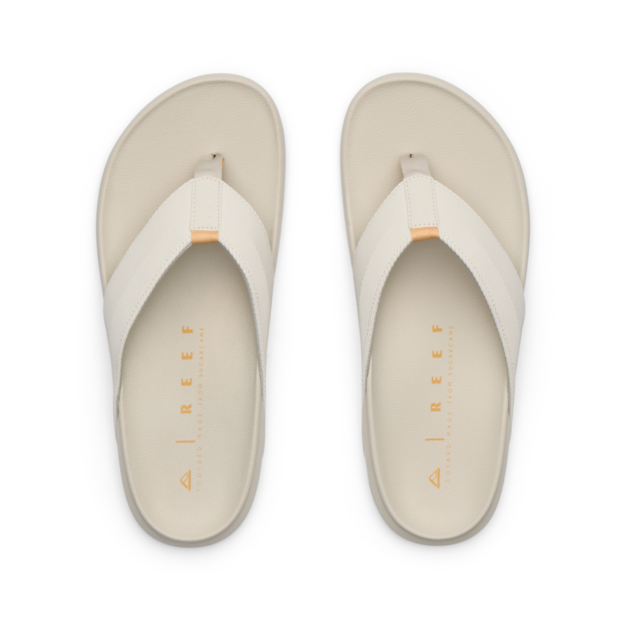 The Raglan - Tan/Tan - Top View