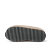 Hiatus - Fossil - Underside View