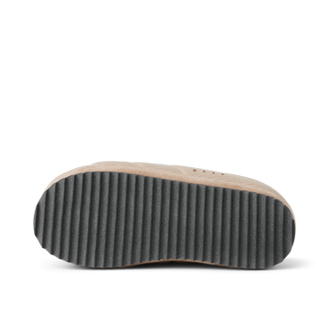 Hiatus - Fossil - Underside View