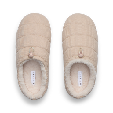Hiatus - Fossil - Top View