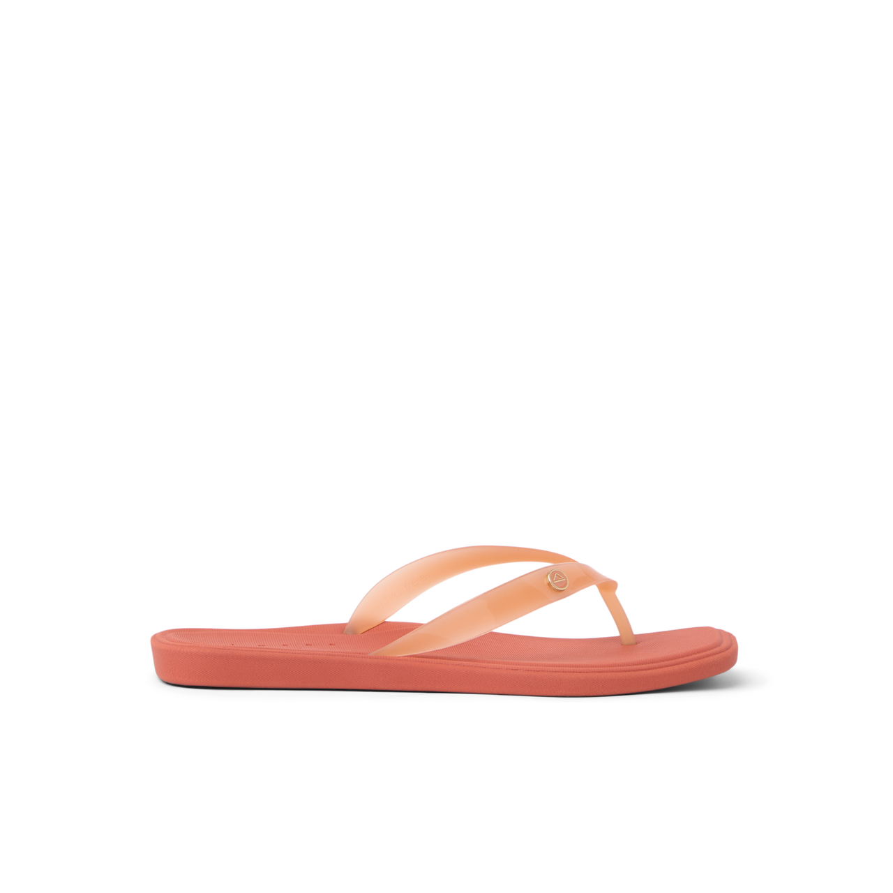 Solaye view 2