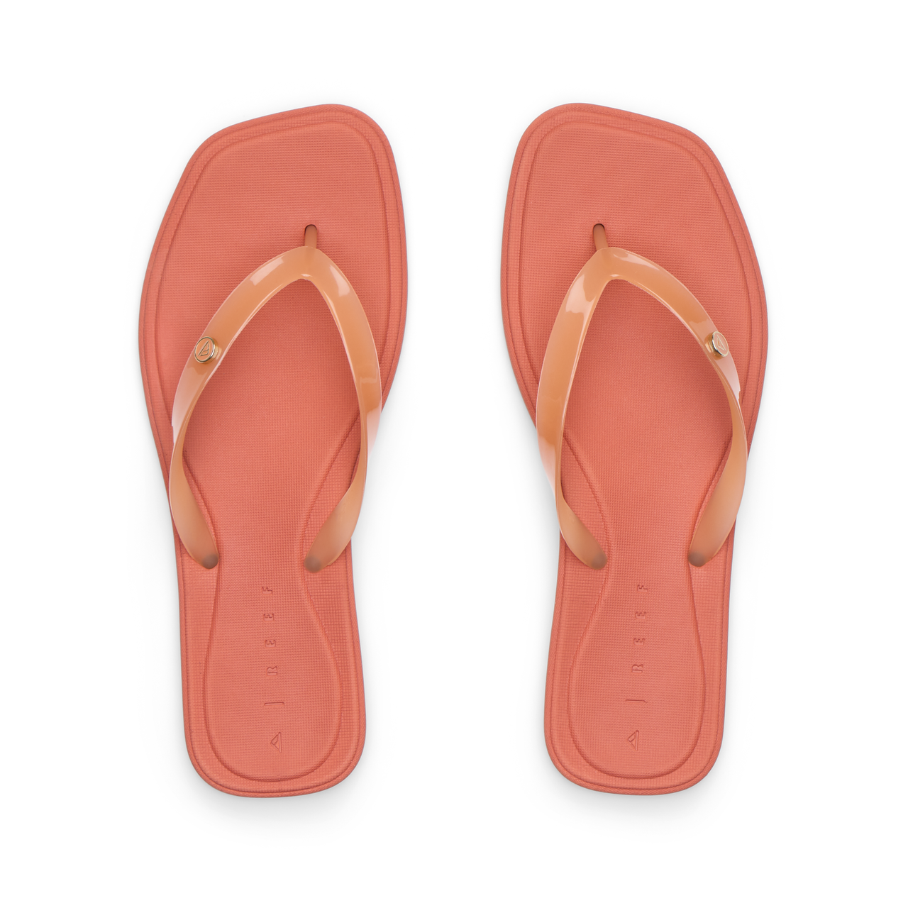 Solaye view 2
