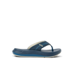 Cruiser