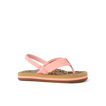 Little Ahi