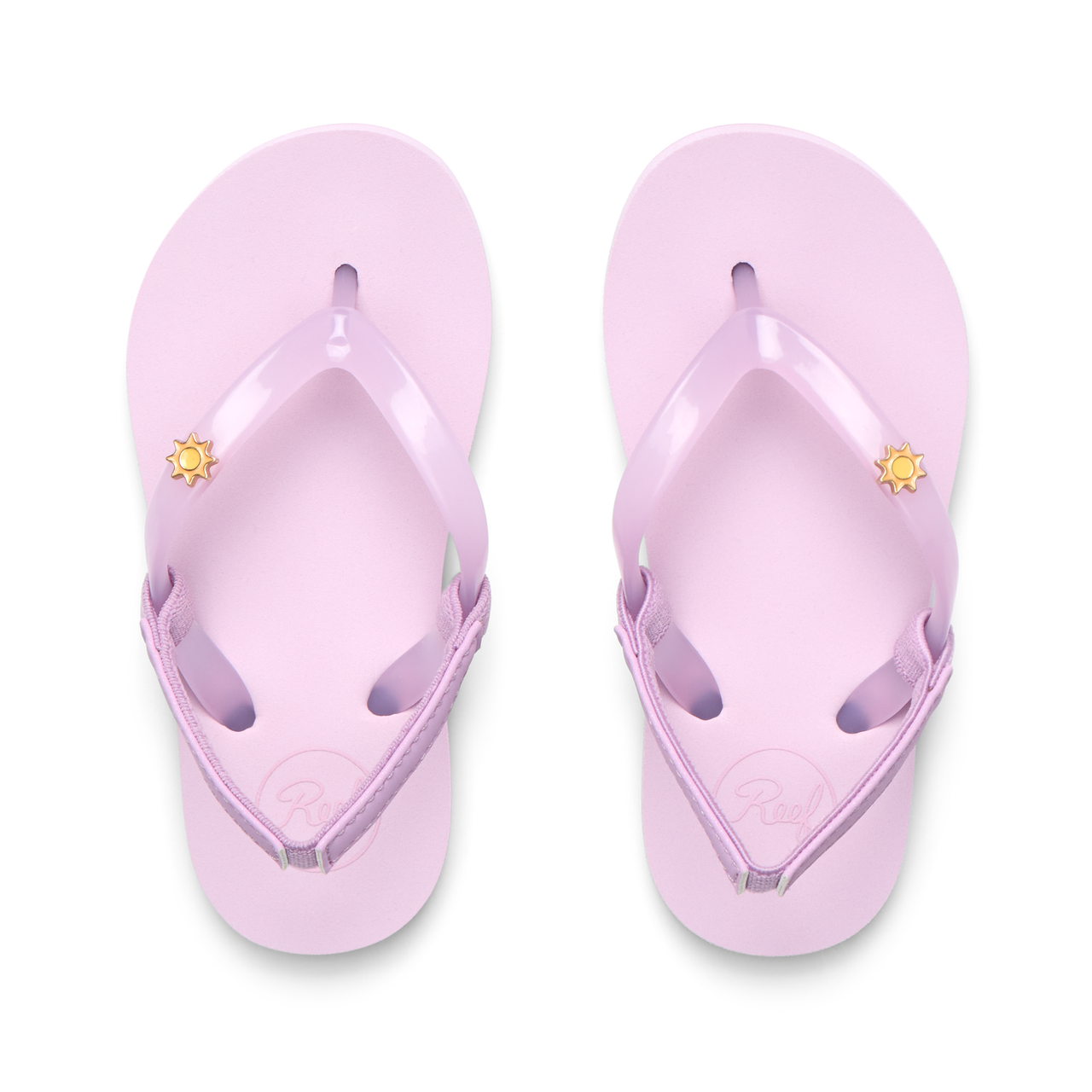 Little Charming - Lavender Orchid - Top View