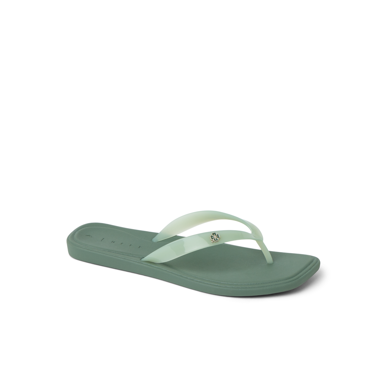 Solaye view 2