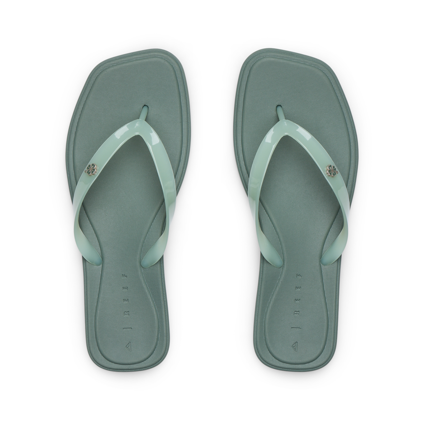 Solaye view 6