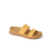 CJ9904