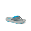 Cruiser
