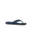 CK0241