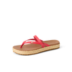 CK0319