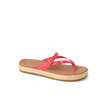 CK0319
