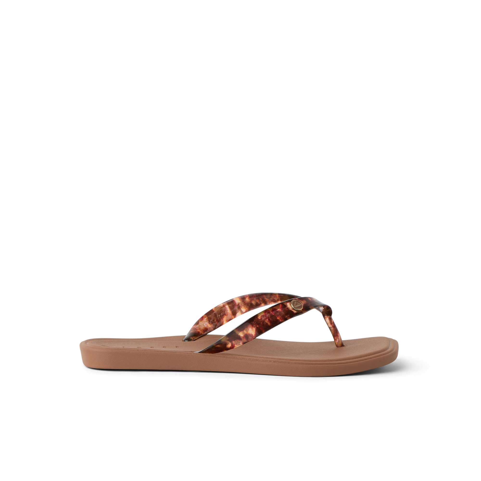 CK0485