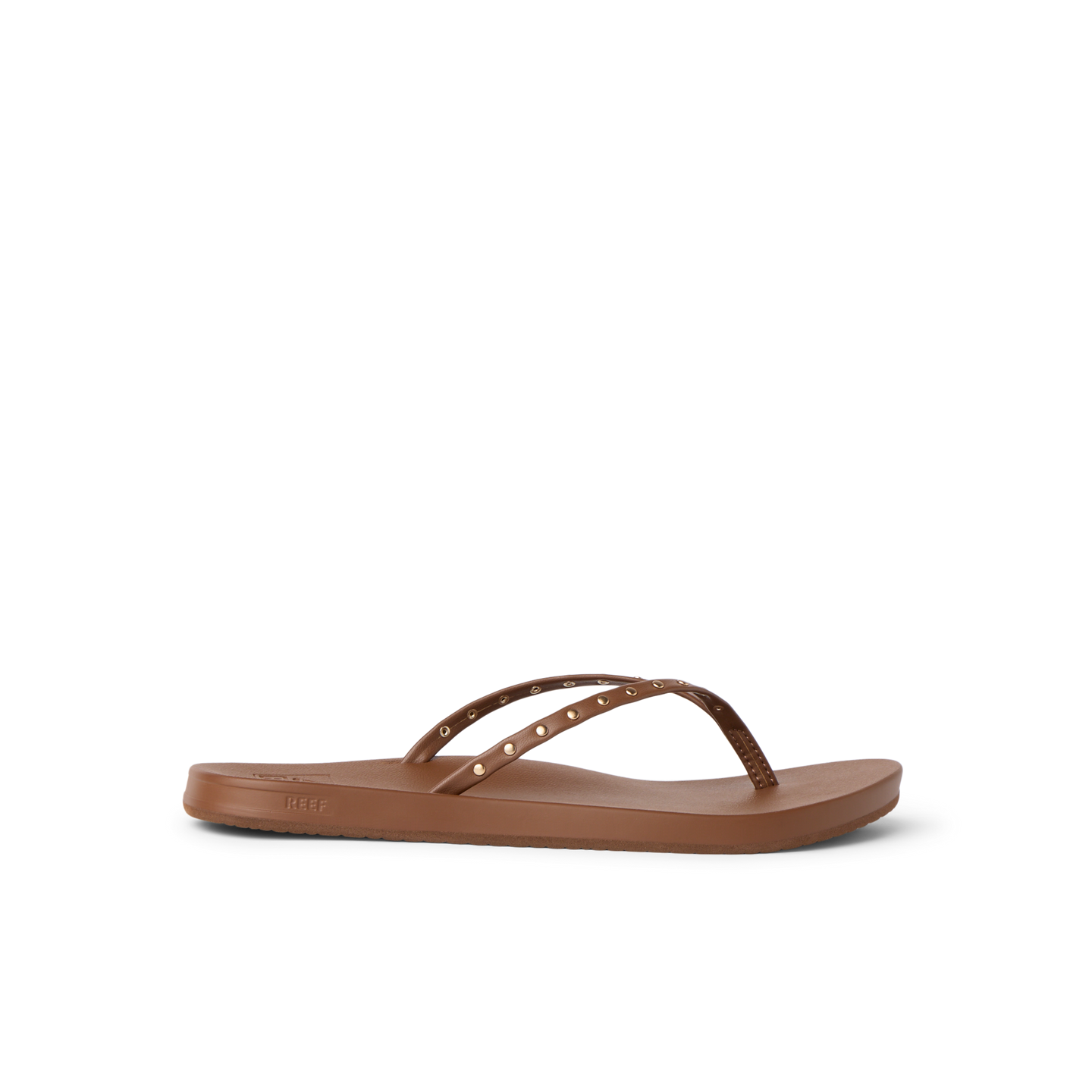 CK0491