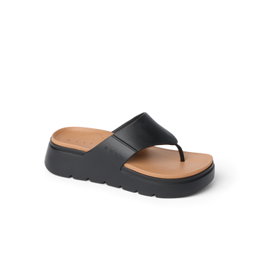 CK0595