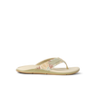 CK0954