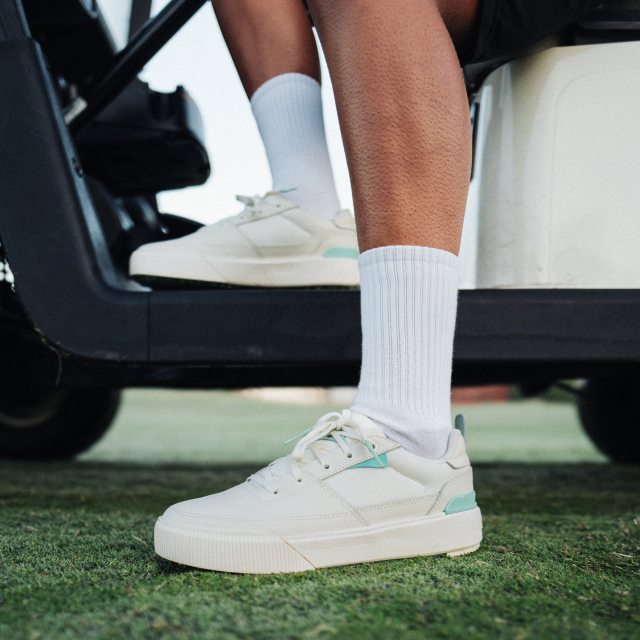 Onshore Pines X Palm view 1