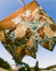 Men's Palmera Boardshort - Floral Camo