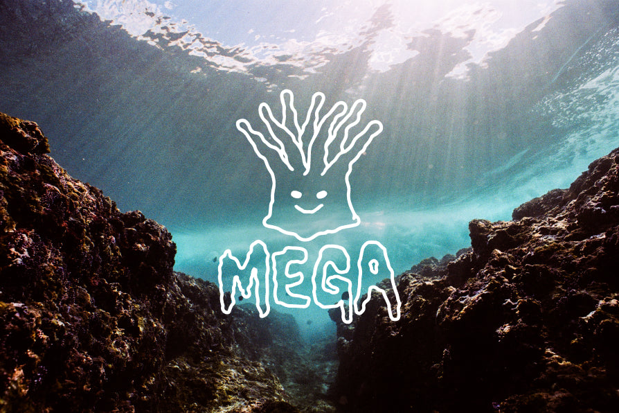 Underwater view of rocky coral reef formations with sunlight streaming through clear blue water and stylized MEGA logo</Rule>